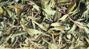 Feuilles d’ayapana séchées de Nature d’ici et d’ailleurs, présentées en vrac, montrant leur couleur et leur texture naturelle.