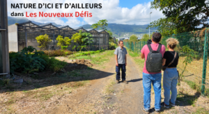 Nature d’ici et d’ailleurs - thés et tisanes de La Réunion dans Les Nouveaux Défis