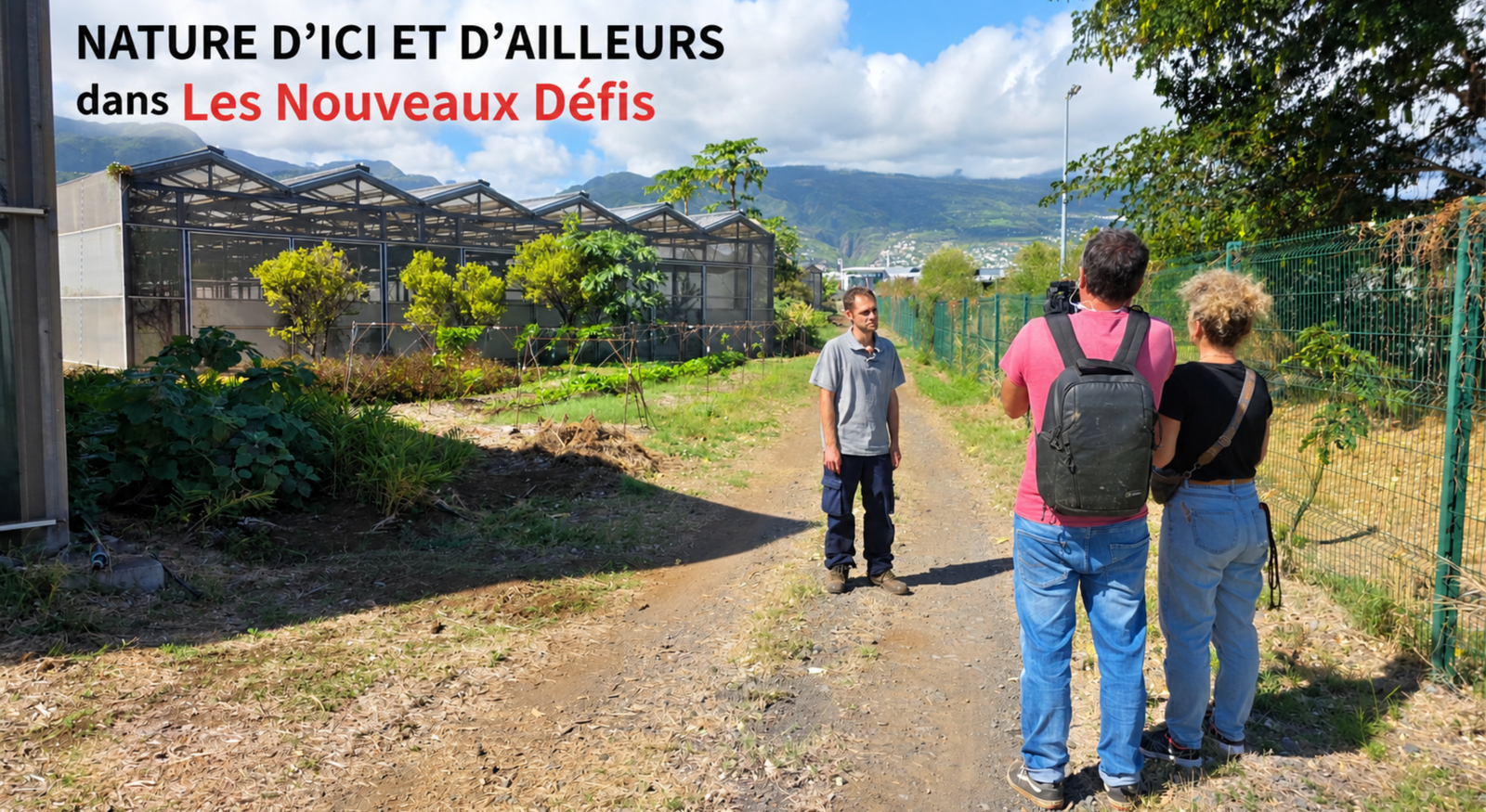 Nature d’ici et d’ailleurs - thés et tisanes de La Réunion dans Les Nouveaux Défis