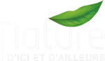 logo-blanc